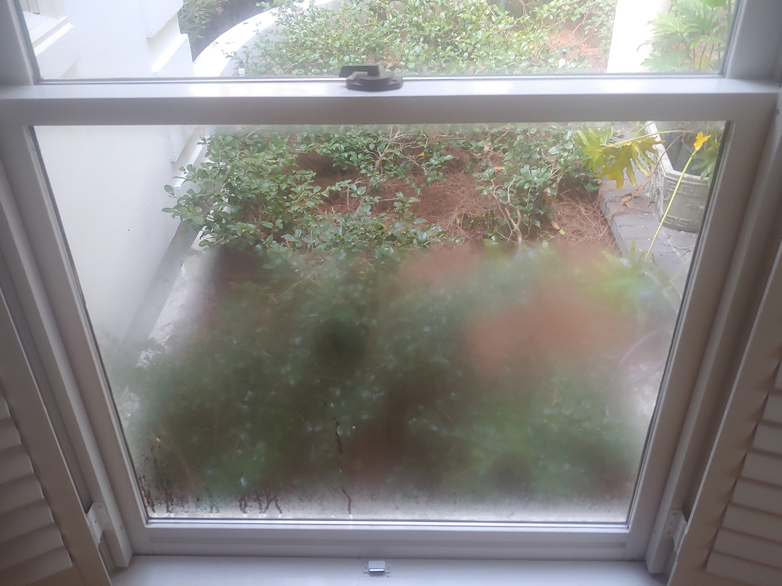 chicago window glass company