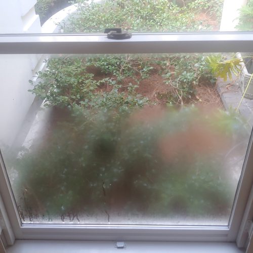 chicago window glass company